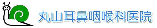 丸山耳鼻咽喉科医院 秩父市野坂町